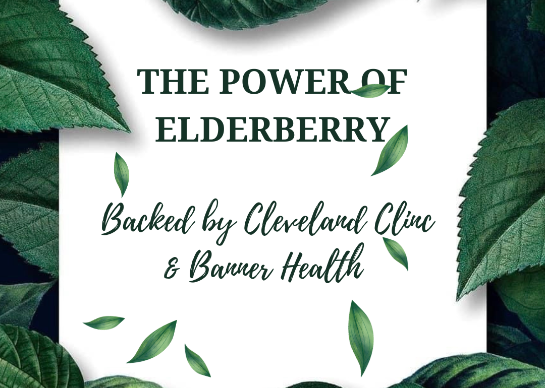 the power of elderberry