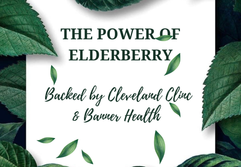 the power of elderberry
